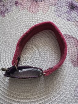 Obojek pro psa podšitý - 5