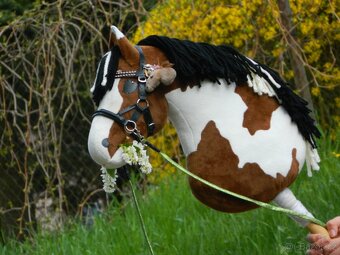 Hobby horse - 5