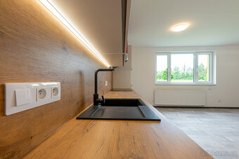 Pronájem, byt 1+kk, 54 m², Plzeň - Bolevec, ul. Plaská - 5