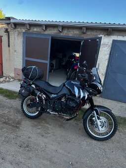 Triumph tiger 955i - 5