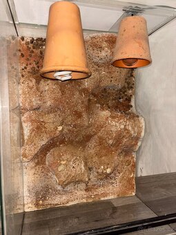 Skleněné terárium 70 × 50 × 40 cm (v × š × h) - 5