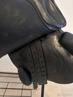 Prestige Venezia - 5