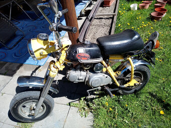 Honda Monkey - 5
