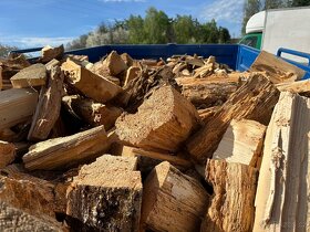Palivové dřevo - vyřazené 10,2 prms - 5