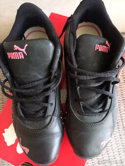 Botasky zn.Puma - 5