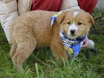 Balisha rezervace - 5