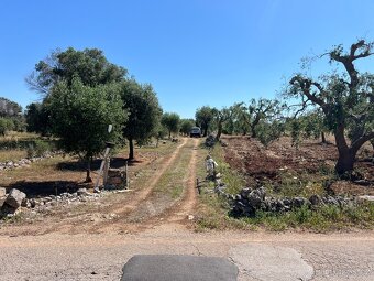 Pozemek u moře 3.600m2 🇮🇹 - 5
