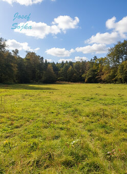 Prodej louky, Račice - Pístovice, 1784m2 - 5