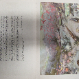 Hlubinami pravěku - J. Augusta a Z. Burian, 1956 - 5