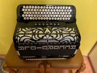 Accordiola - 5