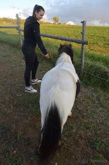 Prodej Pony - 5