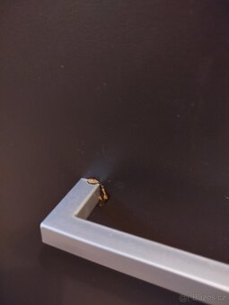 Šatní skříň dub sonoma - 5