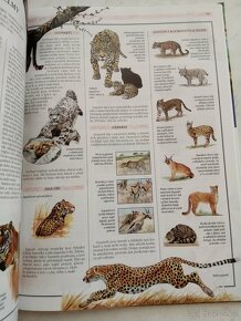Dětská encyklopedie o přírodě NOVÁ - 5