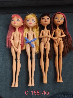 Panenky ever after high - 5