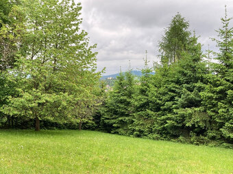 Šumava - Sušice pro výstavbu 2 chat pozemek na prodej - 5