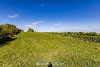 Prodej věhlasné nemovitosti Malovaného sklepa v Šatově, mezi - 5