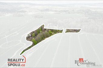 Prodej, pozemky/vinice/sady, 17330 m2, Hřebeny, Josefov, Sok - 5
