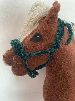 Hobby horse - 5