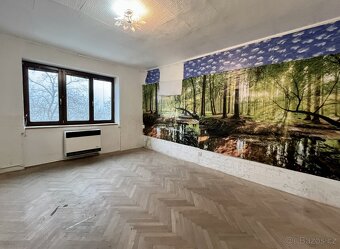 Pronájem bytu 1+1 Brno Veslařská - 5