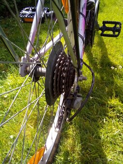 Frera 24" - 5