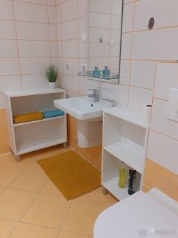 Pronájem bytu 2+kk s balkónem + parkovací místo - 5