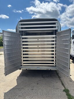 Nabízím přepravu hospodářských zvířat a menších koní - 5