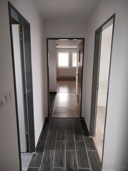 Pronájem bytu - 5