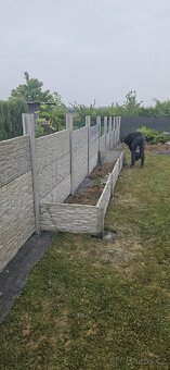 Betonové ploty - 5