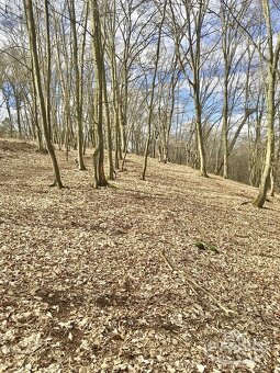 Prodej Stavebního pozemku, 1477 m2, Hradištko, Praha - Západ - 5