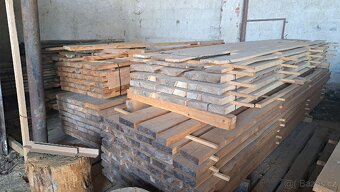 Suché fošny 5.5 cm - 5