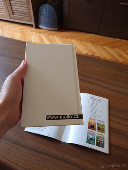 Vůně posečené trávy - Ivanka Devátá - 5