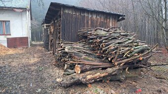Dřevo na topení Svitavy - 5