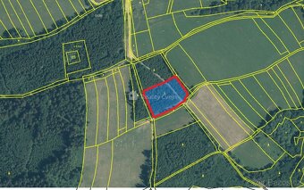 Lesní pozemky k.ú. Růžďka - 5