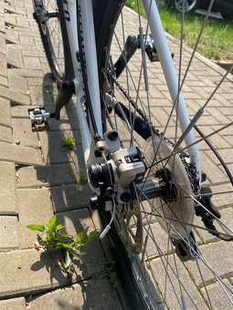 Prodám Specialized Hardrock XC Disc PW 2007 - 5