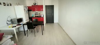 Pronájem - 5