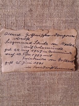 Obraz šlechtice. - 5