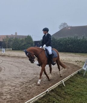 Pony B do sportu - 5