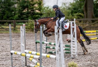 Náš Princ hledá svoji princeznu - 5