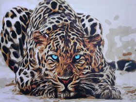 Malované obrazy 40x50cm - 5