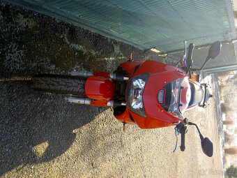 Honda VTR1000F - 5