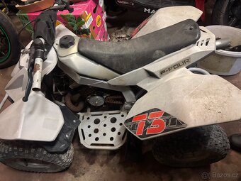 Dětská ctyrkolka 50 - 5