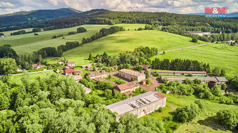 Prodej komerčního pozemku, 29 718 m², Dešenice - 5
