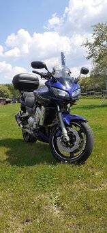 FZS 1000 - 5