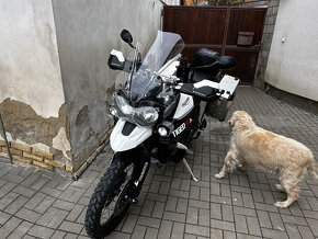 Triumph Tiger 800 XCA - 5