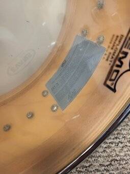 DW Performance Maple White - 5