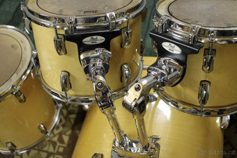 Pearl Vision Birch - 5