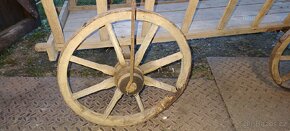 Žebřiňák - 5