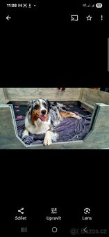 Porodní box pro psy (porodní bedna pro štěňata) - 5