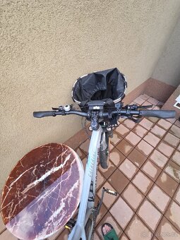 Rock Machine Catherine 30 - 5