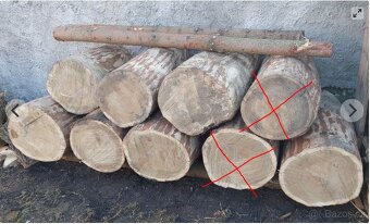 Dubová kulatina - 5